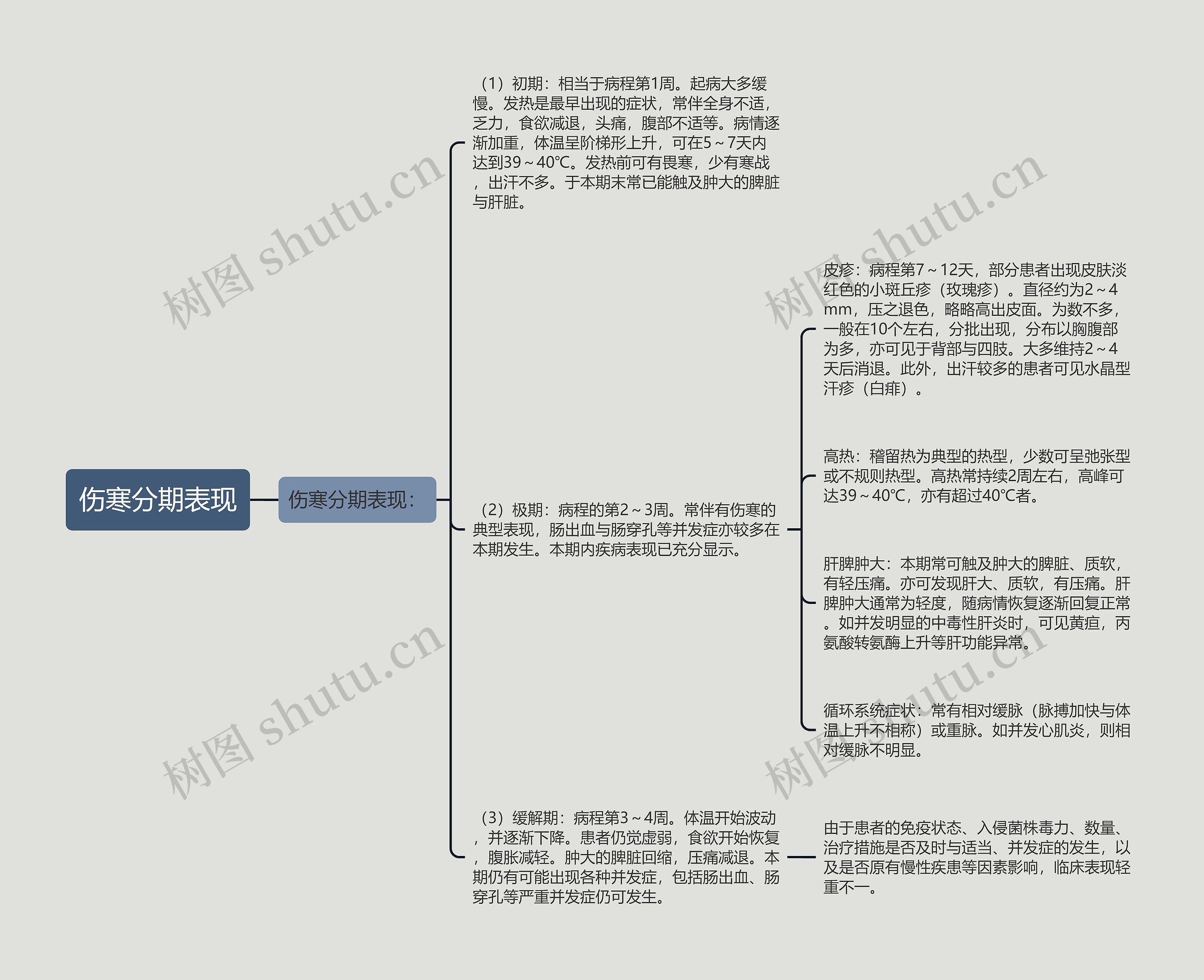 伤寒分期表现思维导图