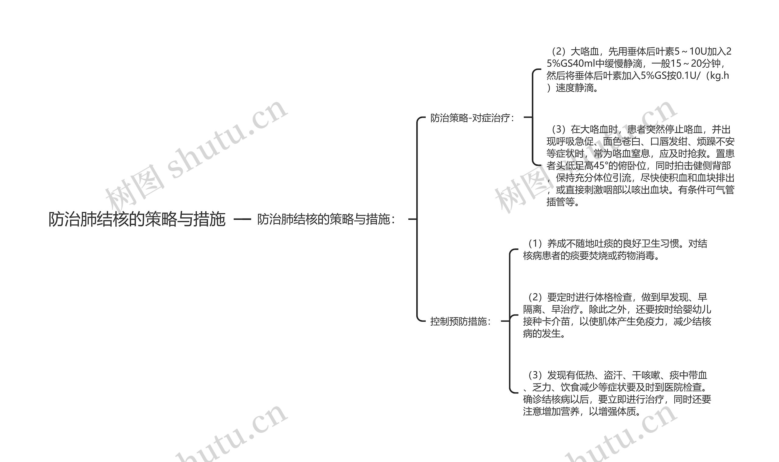 防治肺结核的策略与措施思维导图