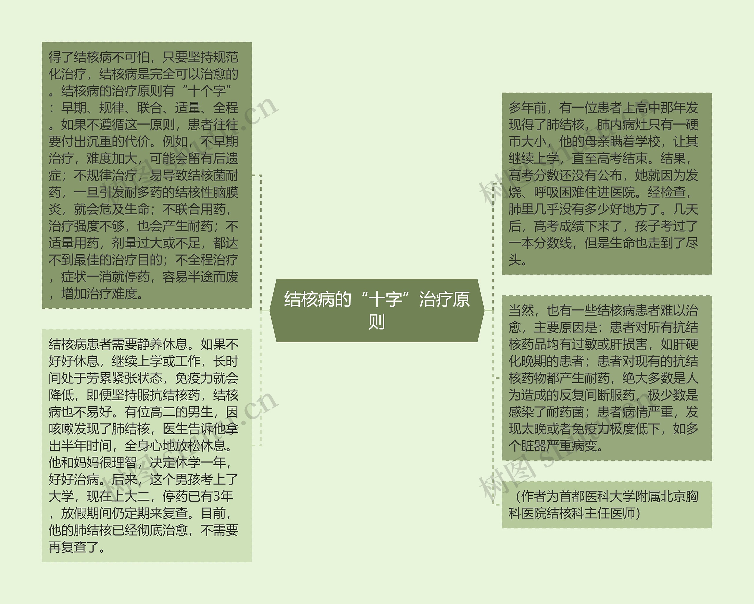 结核病的“十字”治疗原则思维导图