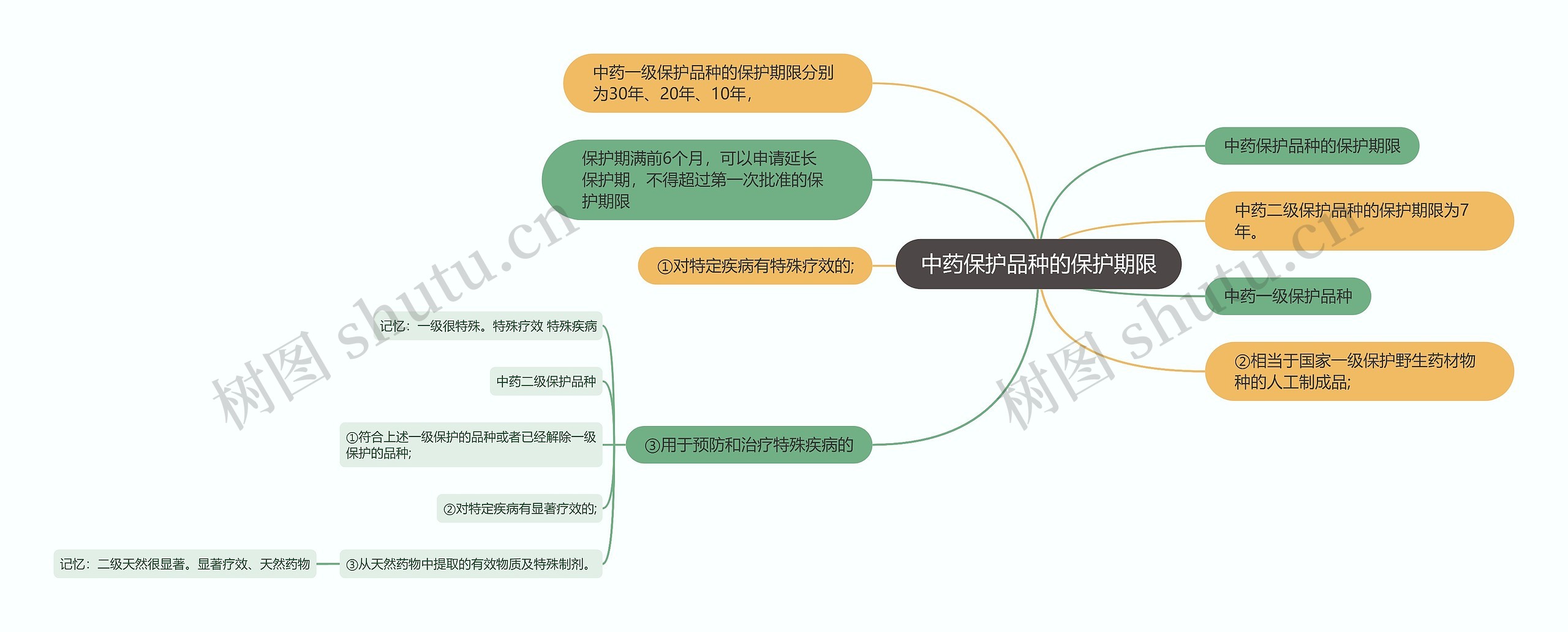 中药保护品种的保护期限思维导图