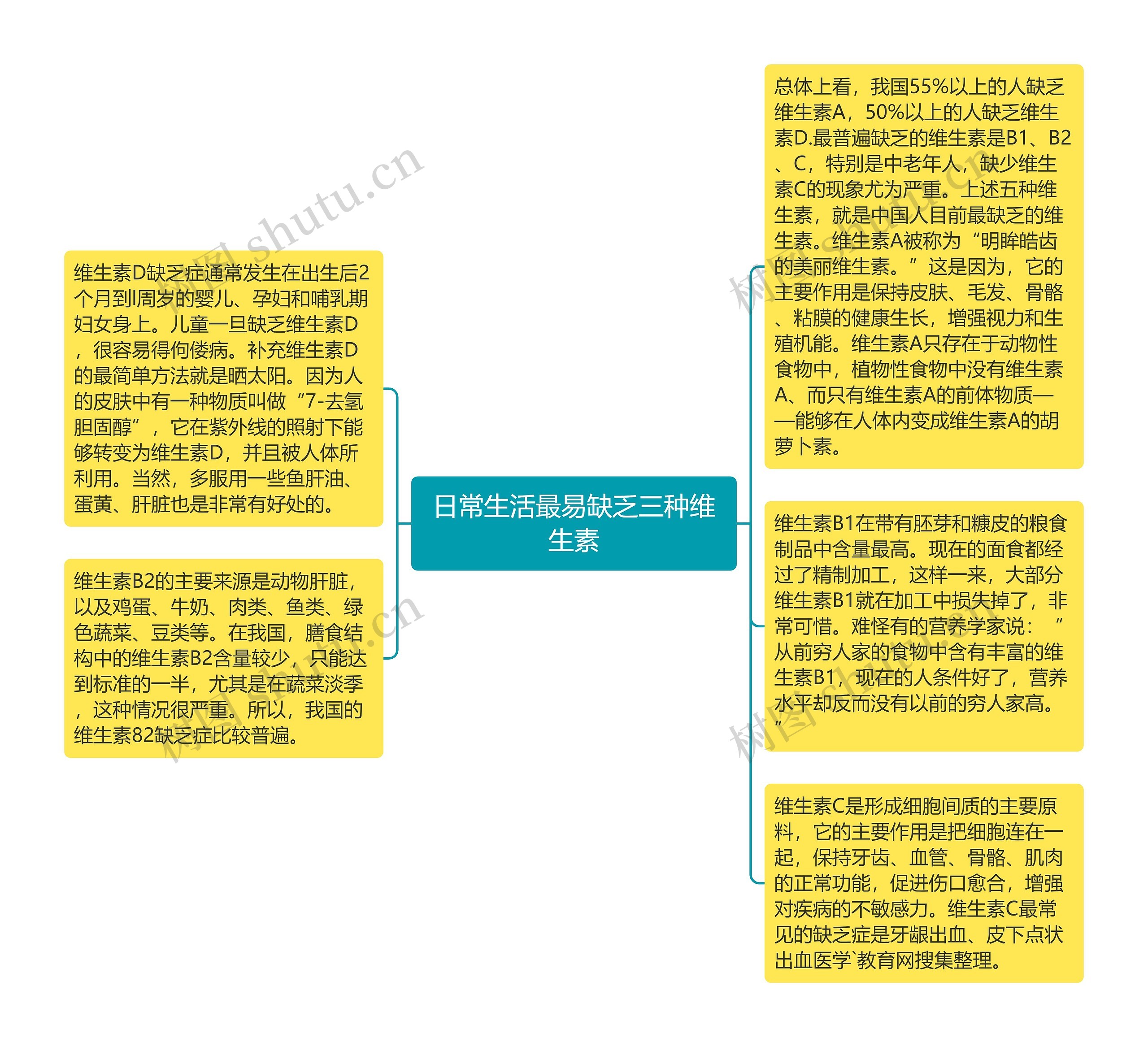 日常生活最易缺乏三种维生素思维导图