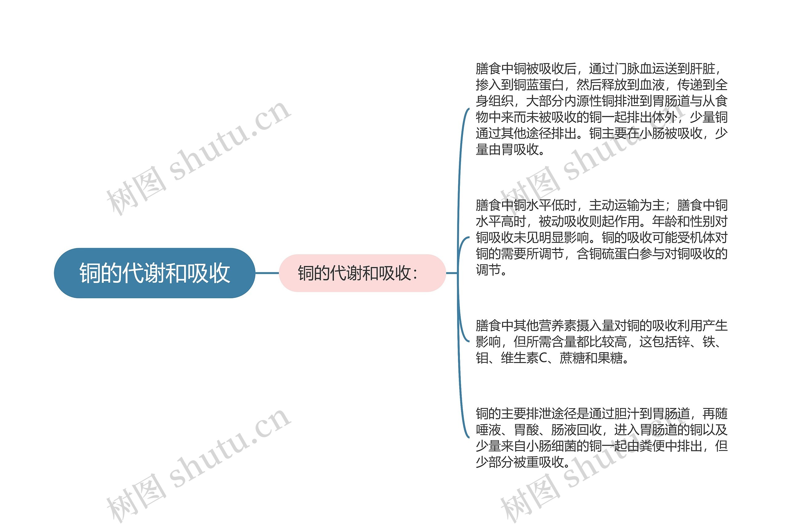 铜的代谢和吸收