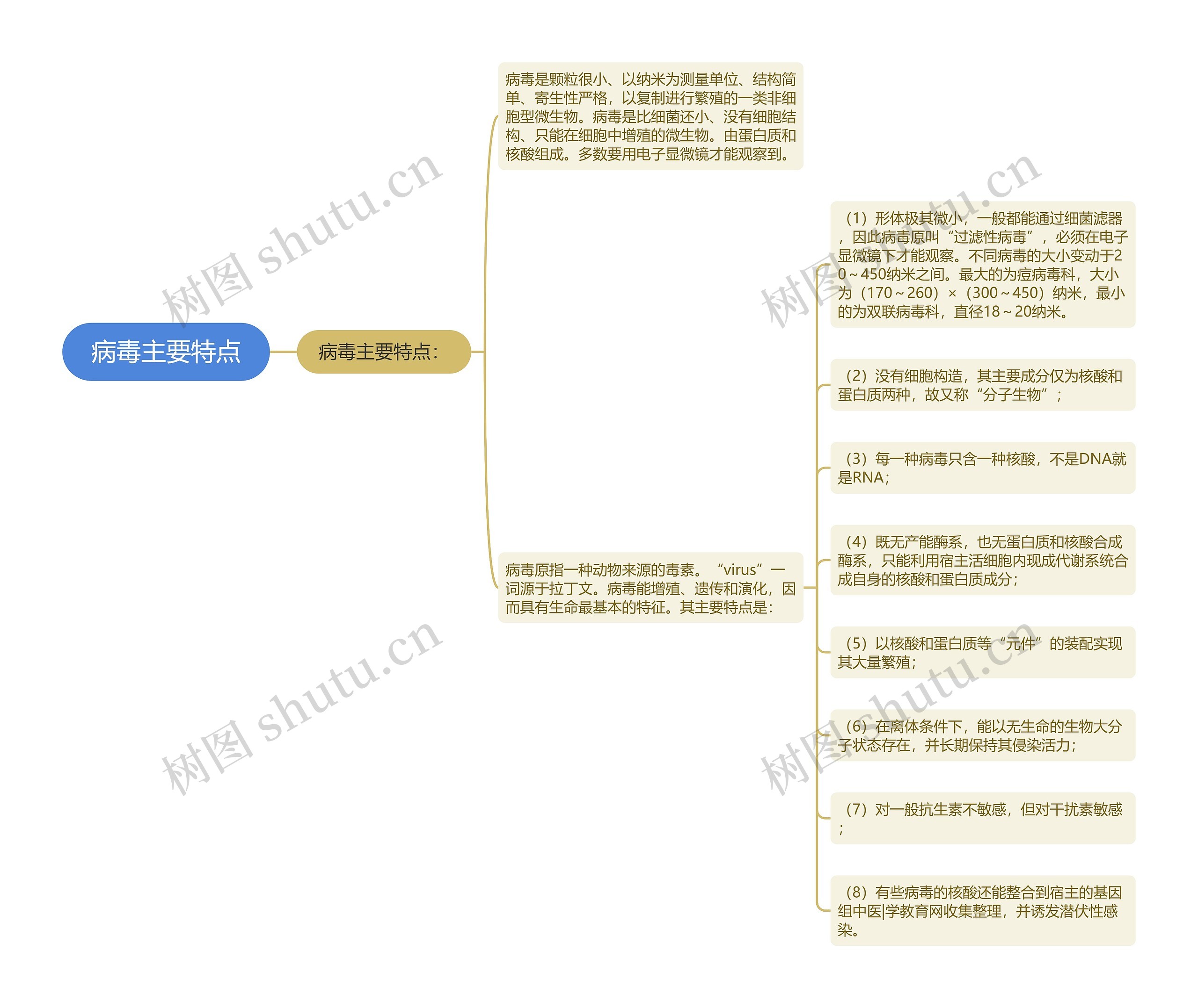 病毒主要特点