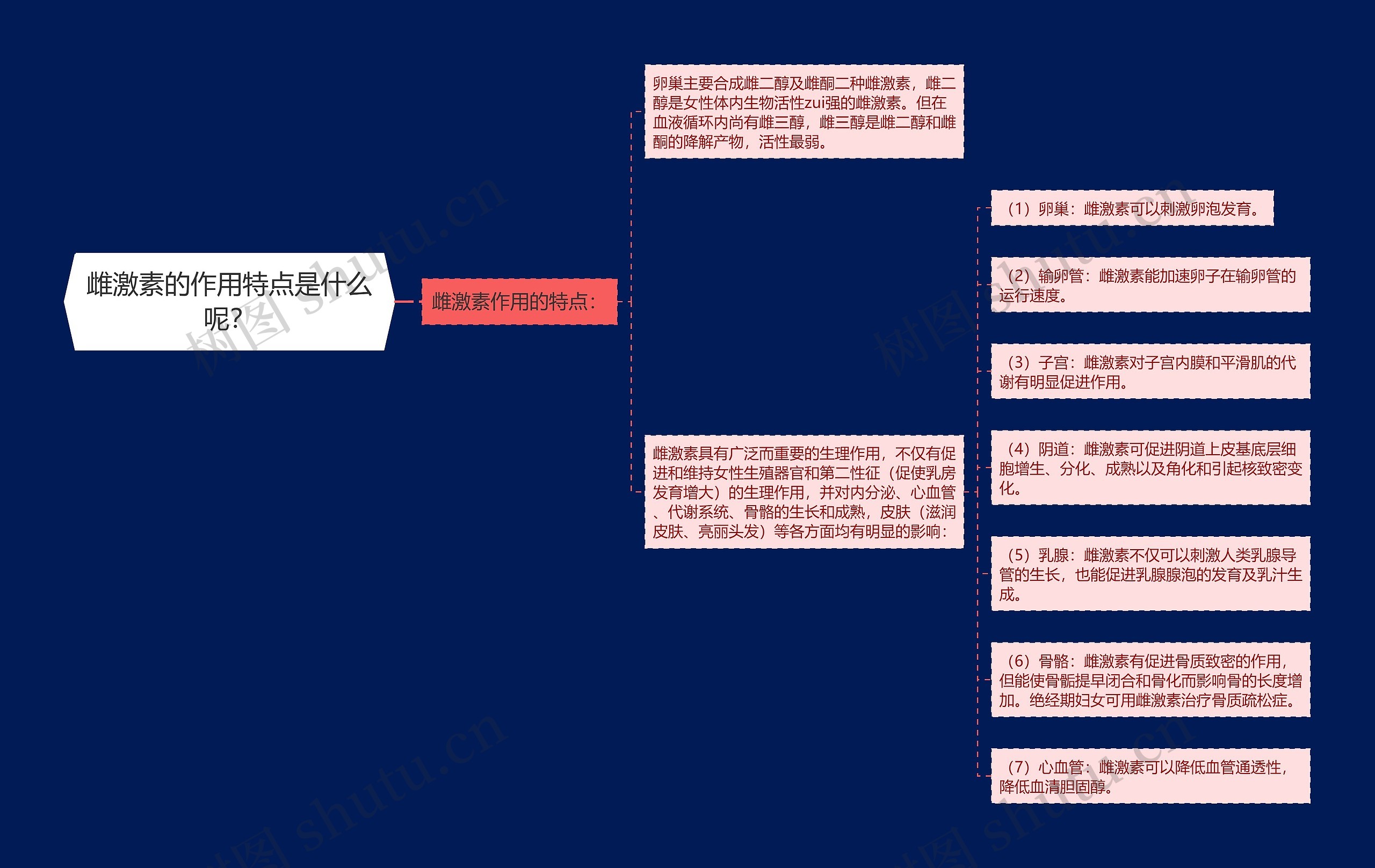 雌激素的作用特点是什么呢？思维导图