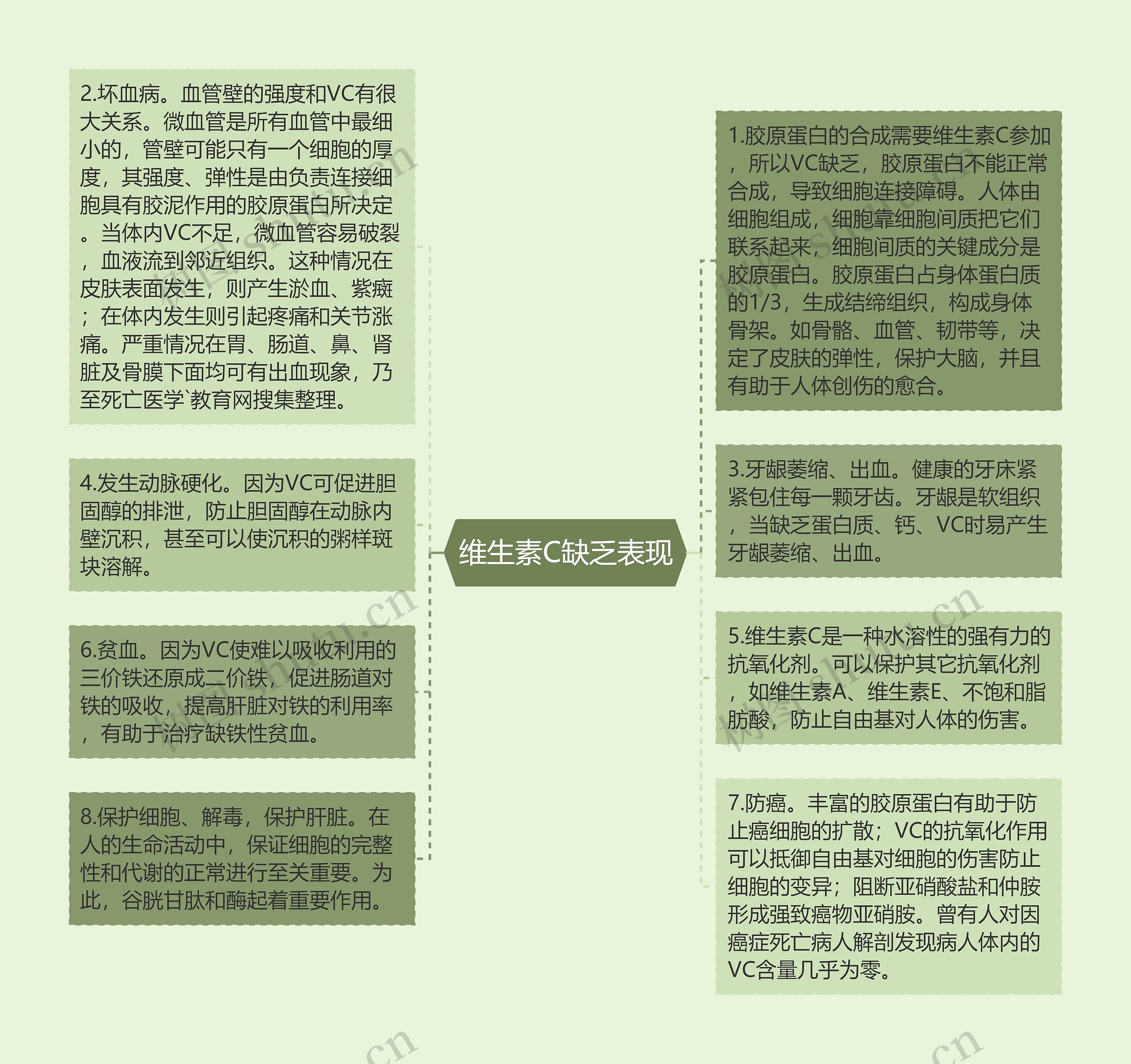 维生素C缺乏表现