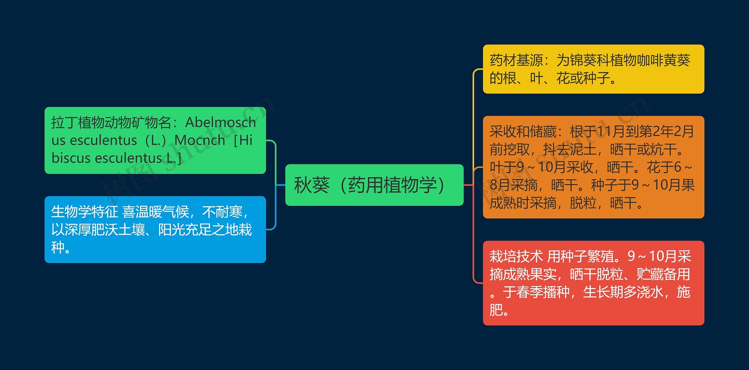 秋葵(药用植物学) 秋葵(药用植物学)