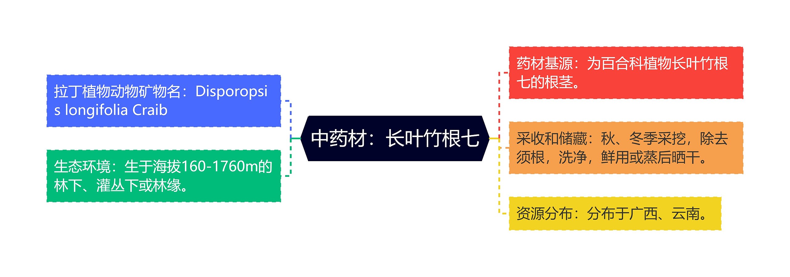 中药材：长叶竹根七