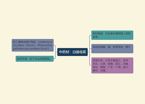 中药材：白猪母菜