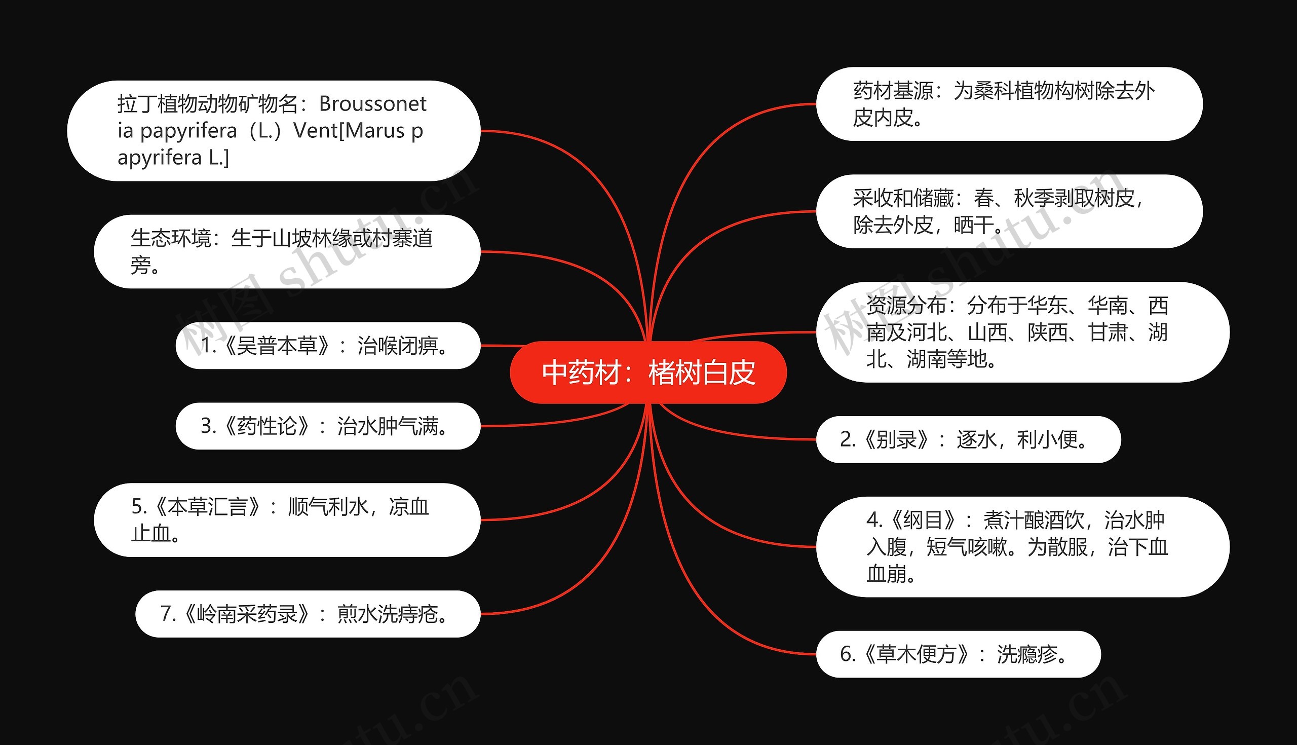 中药材：楮树白皮