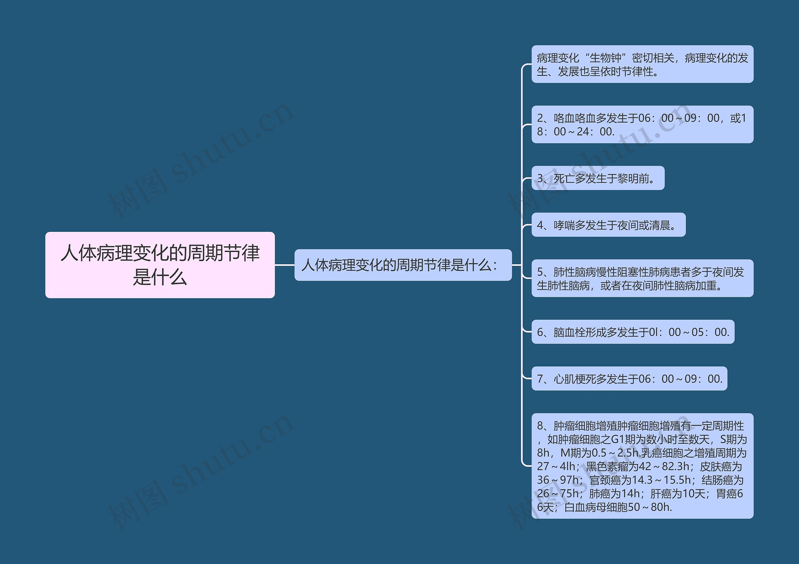 人体病理变化的周期节律是什么思维导图