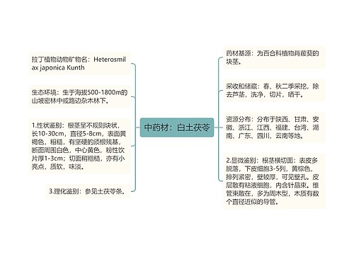 中药材：白土茯苓思维导图