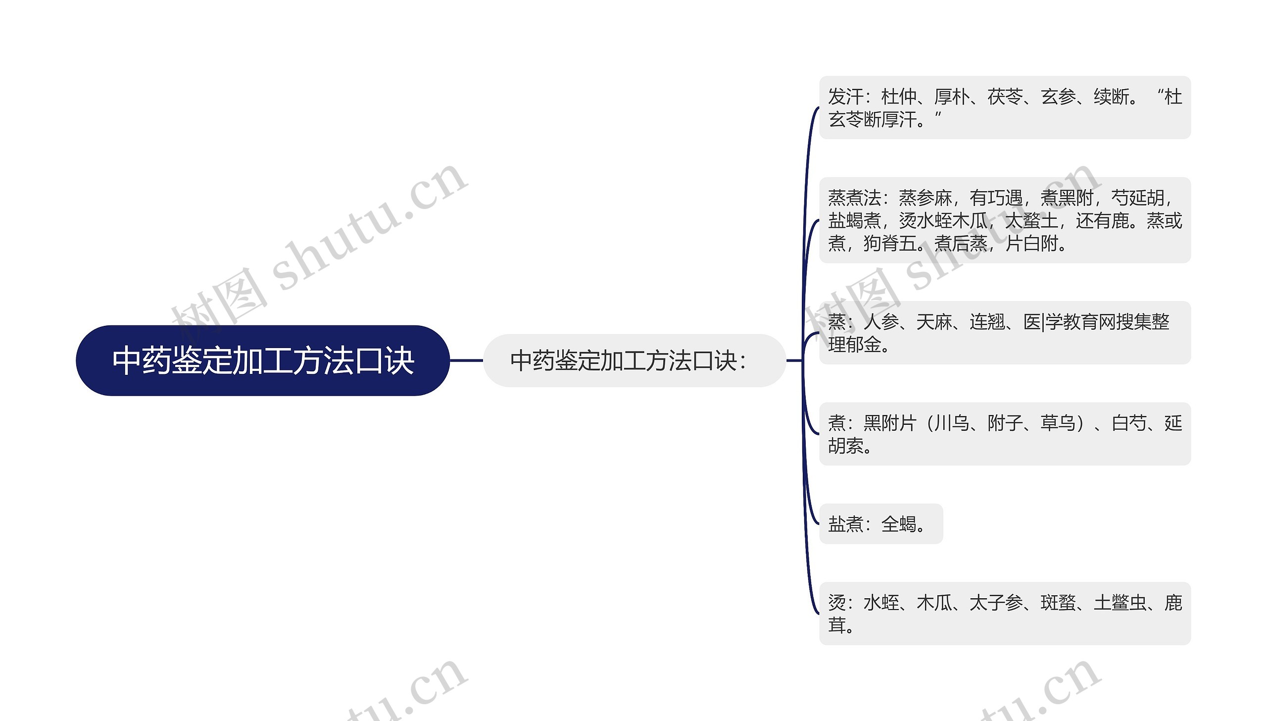 中药鉴定加工方法口诀思维导图