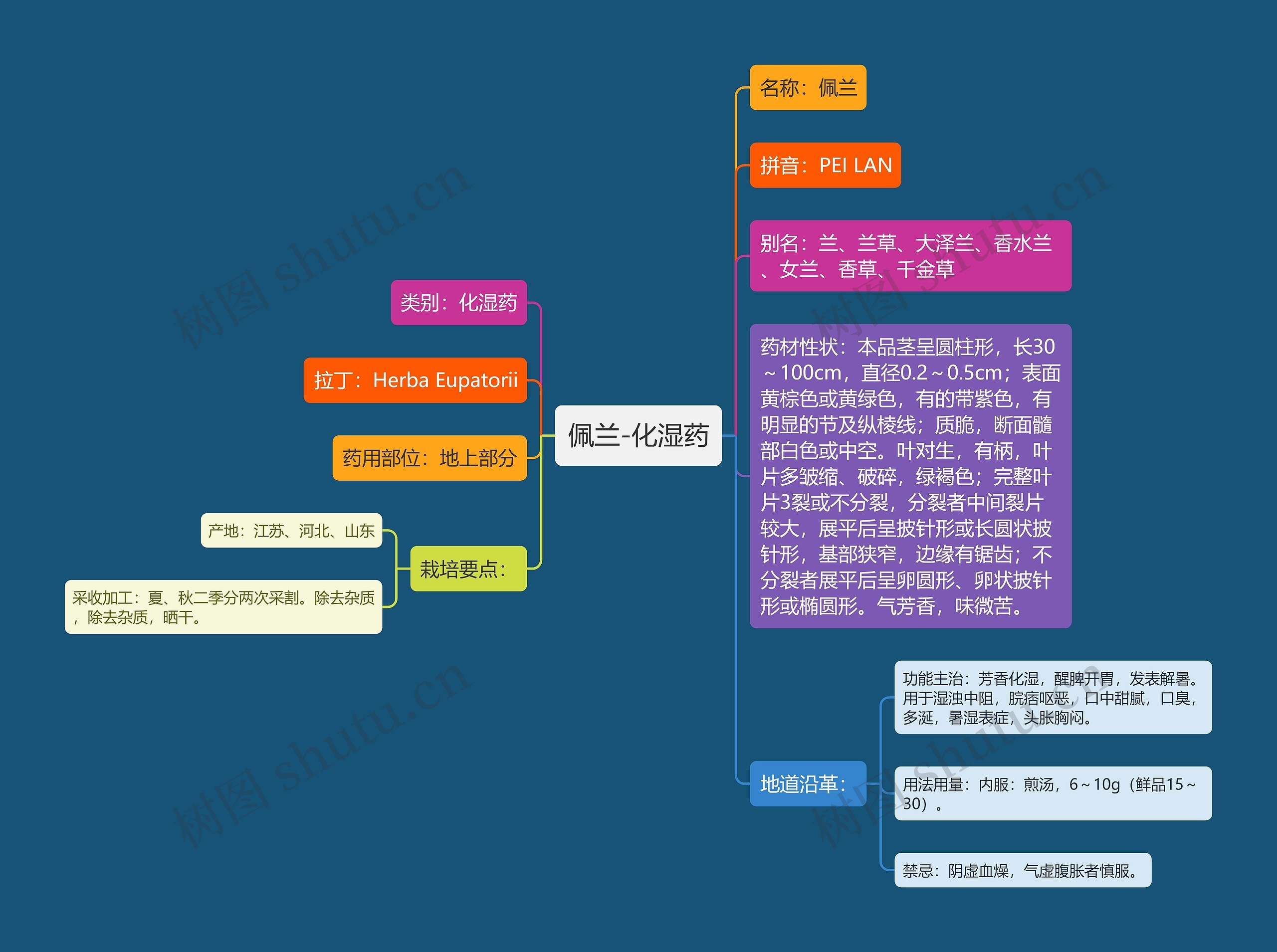 佩兰-化湿药思维导图