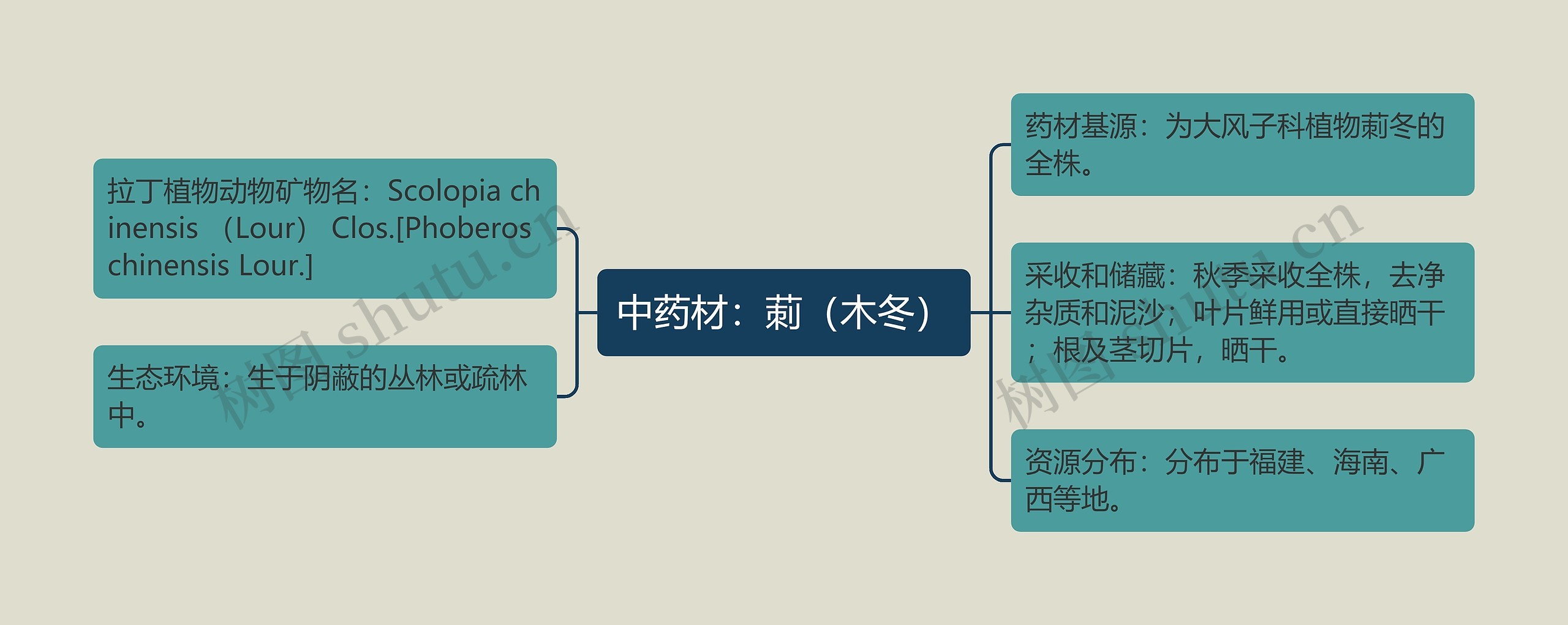 中药材：莿（木冬）思维导图