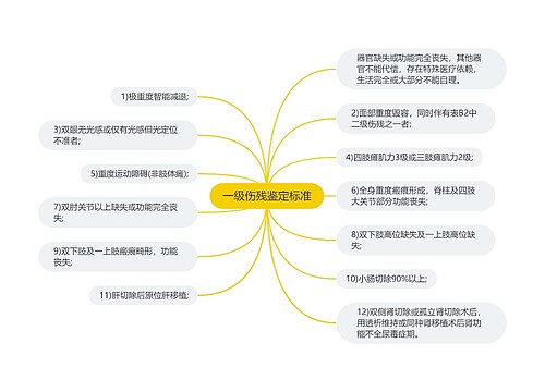 一级伤残鉴定标准