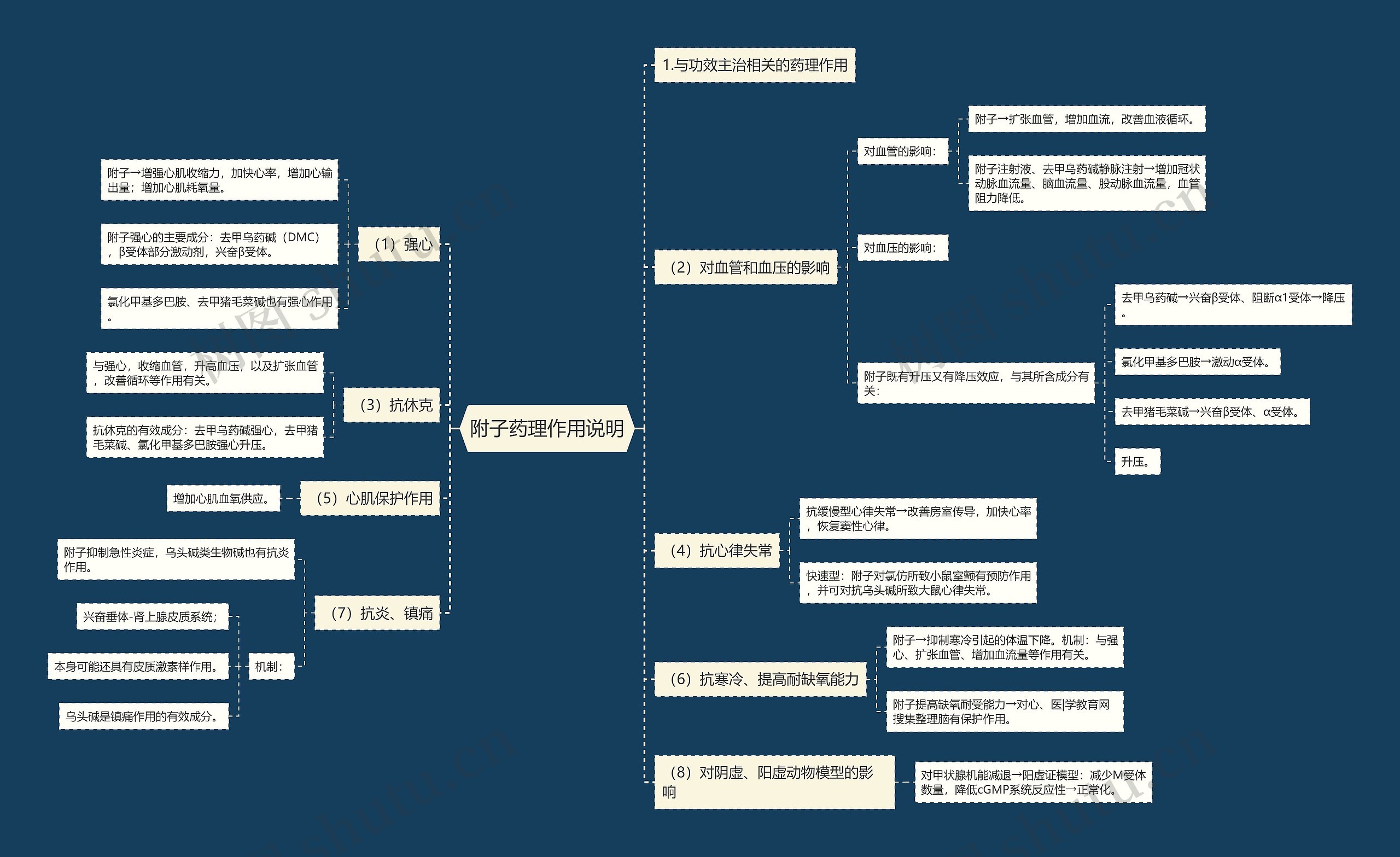 附子药理作用说明思维导图