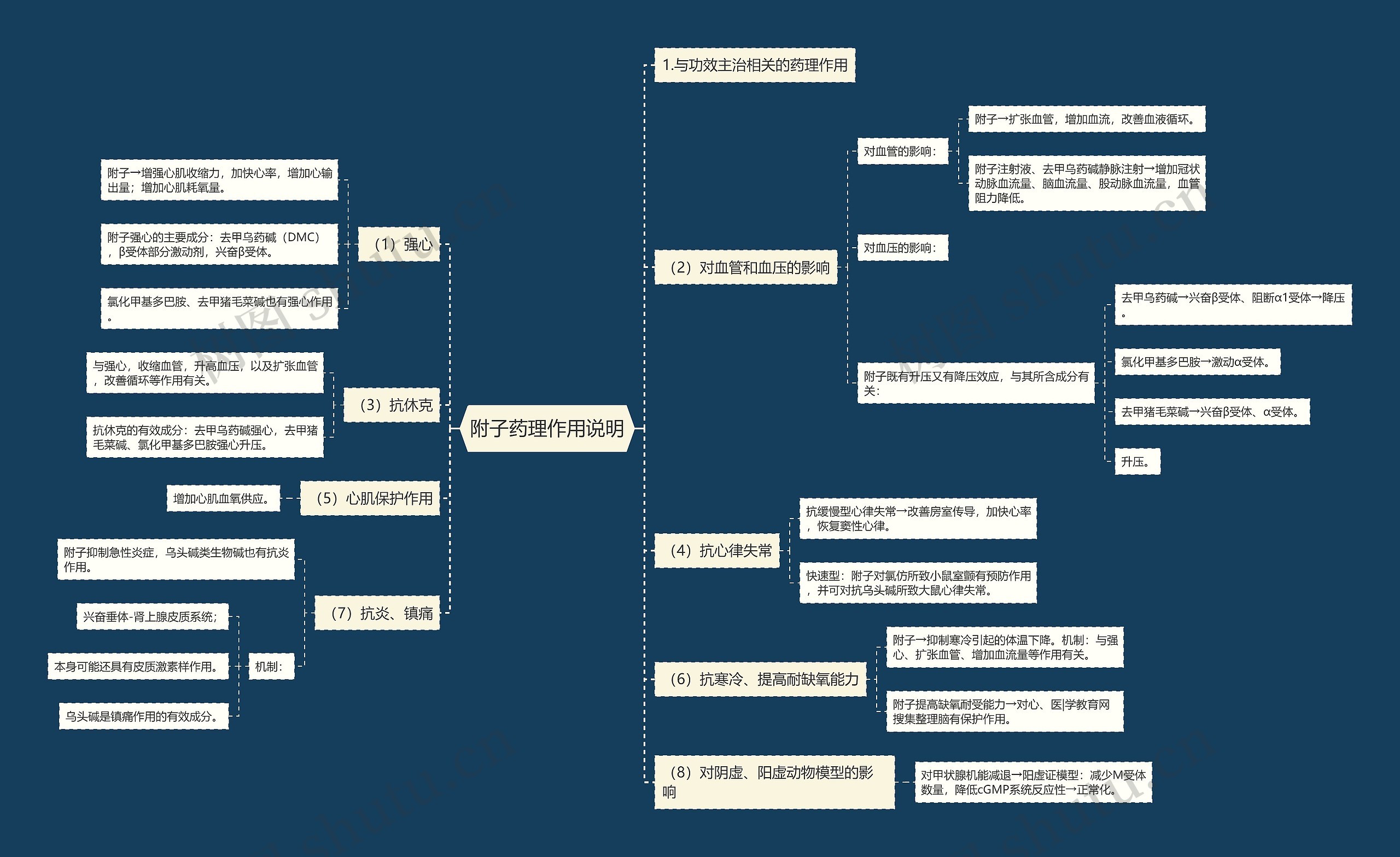 附子药理作用说明 附子药理作用说明