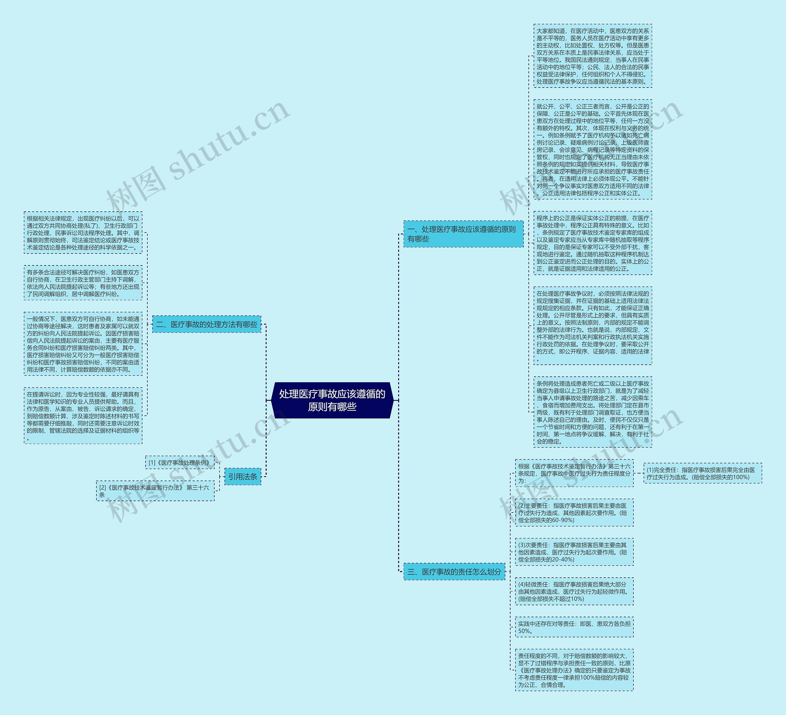 处理医疗事故应该遵循的原则有哪些思维导图
