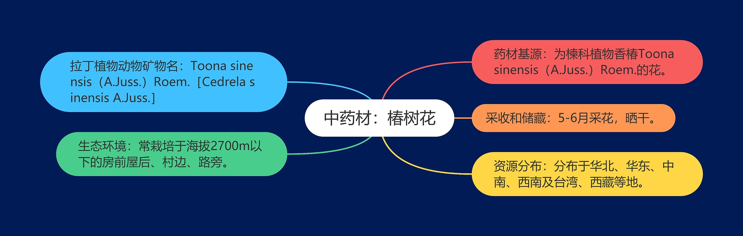 中药材:椿树花 中药材:椿树花