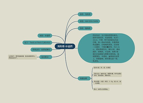 海狗肾-补益药