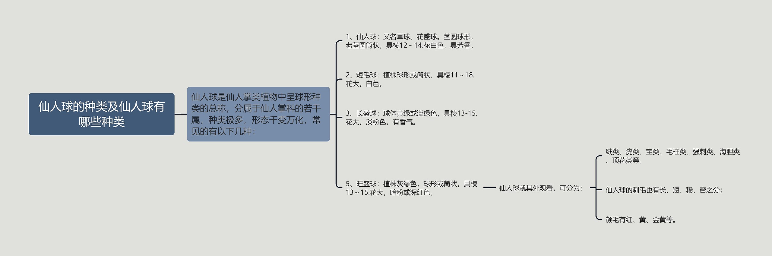 仙人球的种类及仙人球有哪些种类思维导图