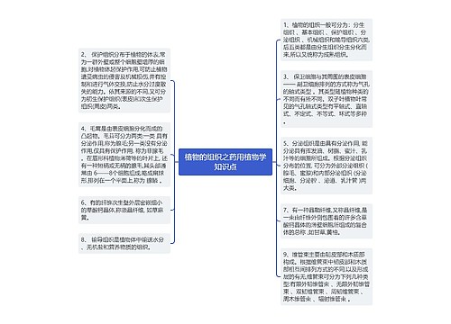 植物的组织之药用植物学知识点