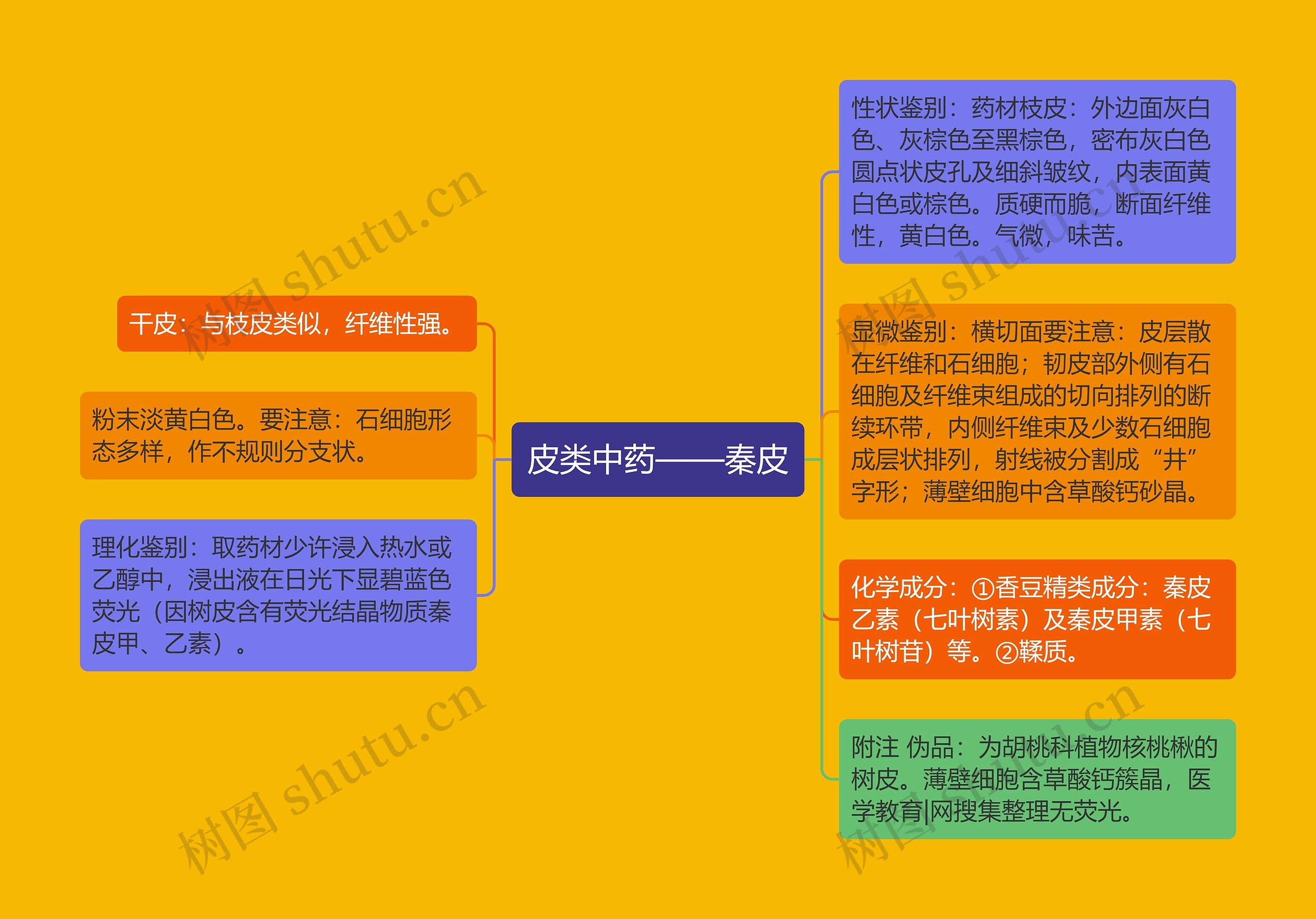 皮类中药——秦皮 皮类中药——秦皮
