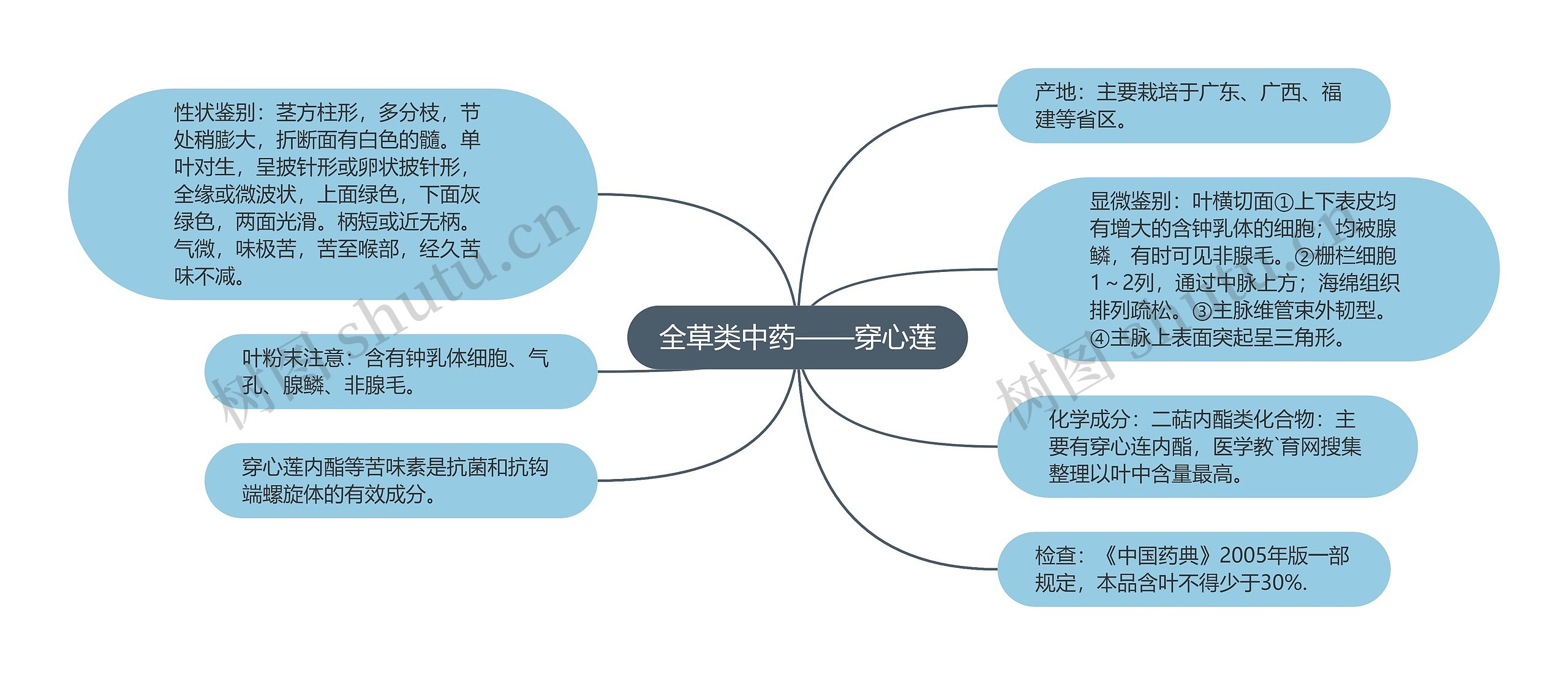 全草类中药——穿心莲