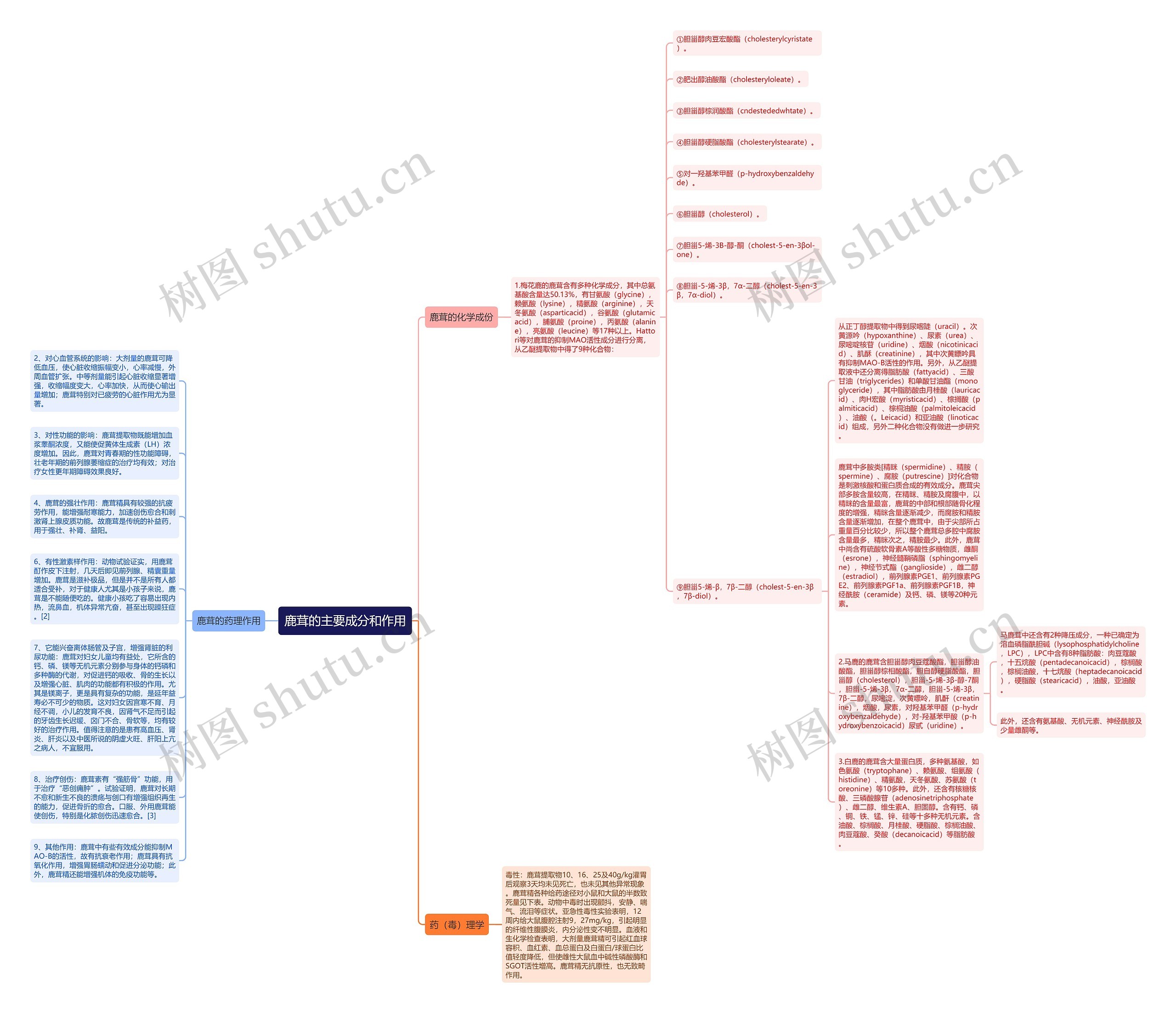 鹿茸的主要成分和作用思维导图