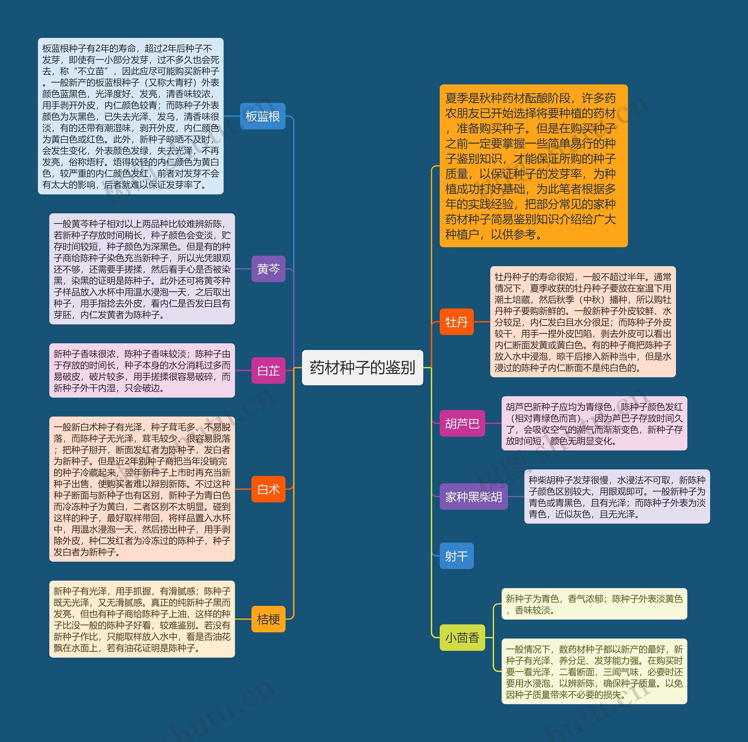 药材种子的鉴别