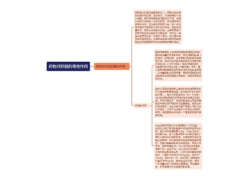 药物对肝脏的毒性作用