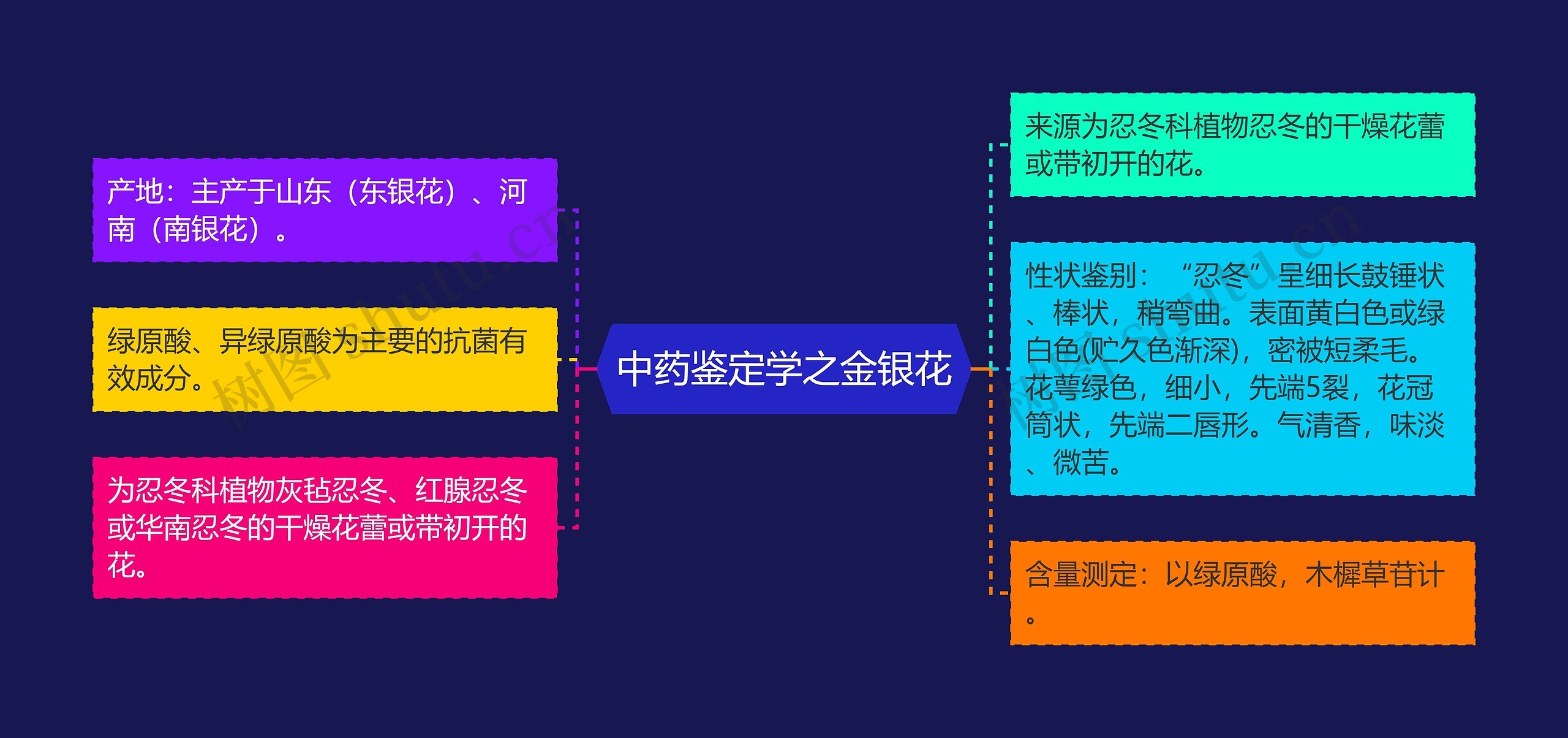 中药鉴定学之金银花