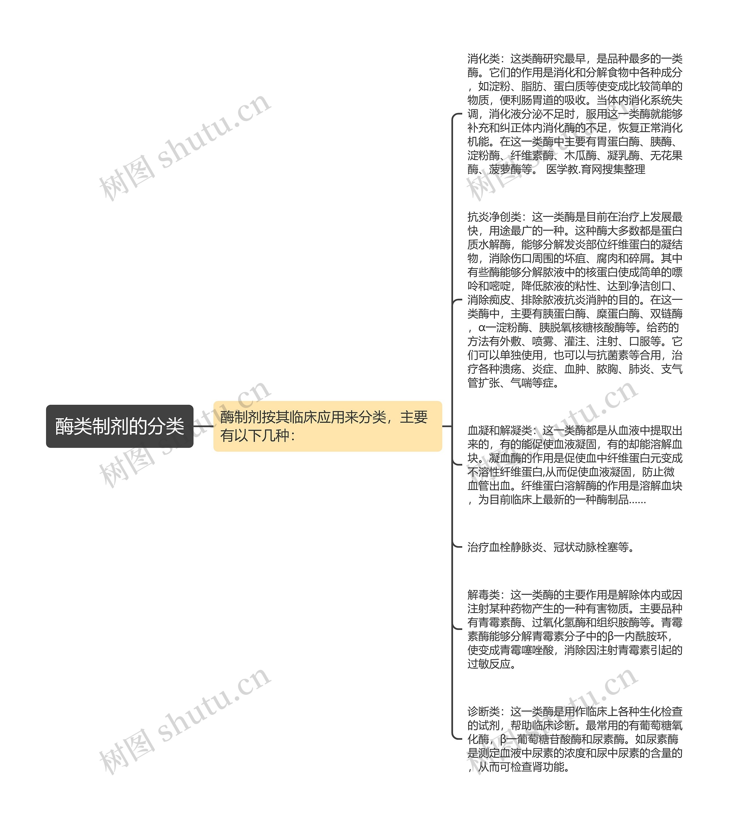 酶类制剂的分类思维导图