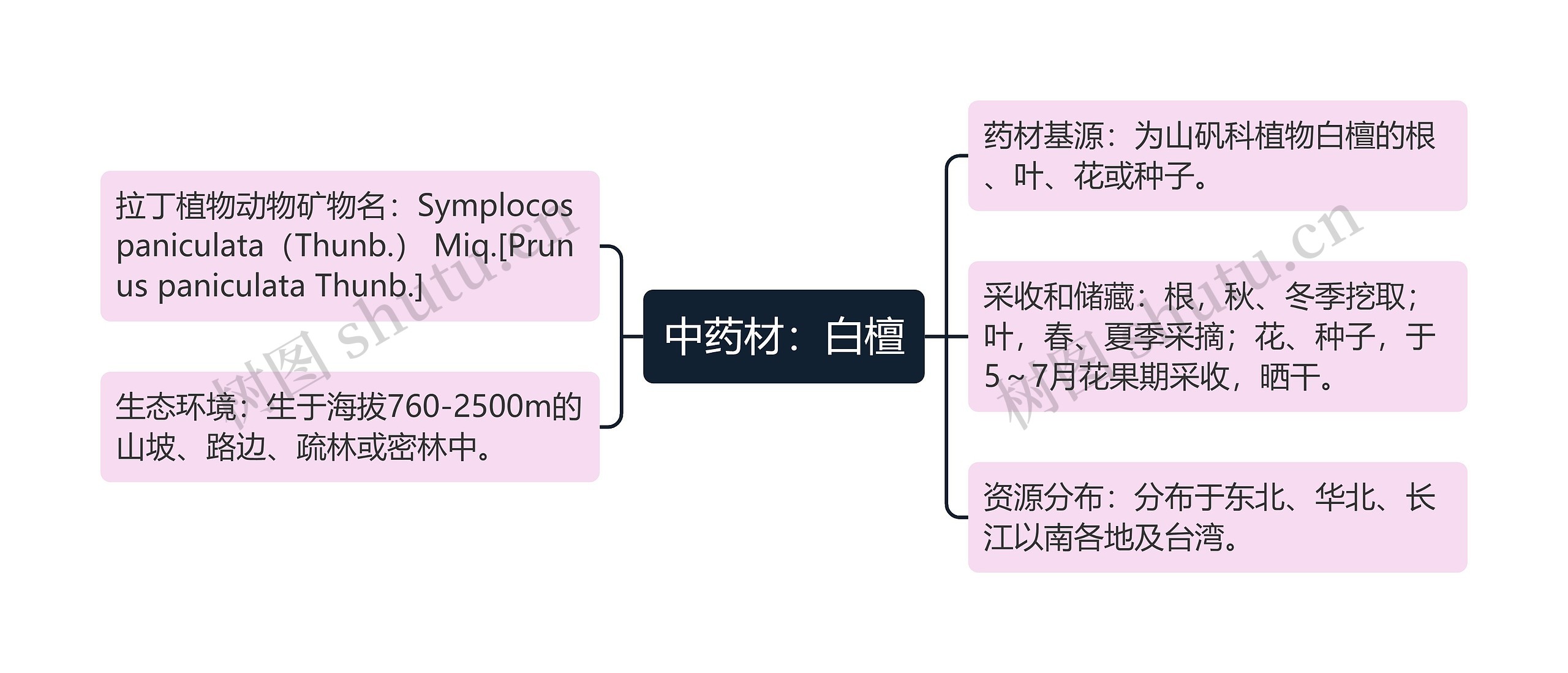 中药材：白檀思维导图