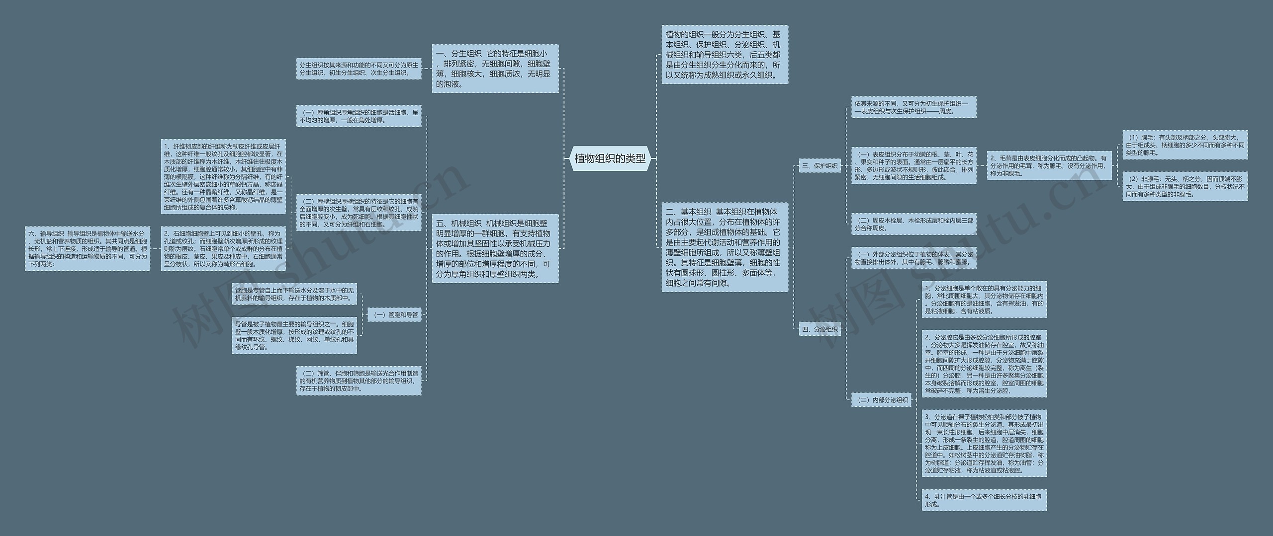 植物组织的类型思维导图