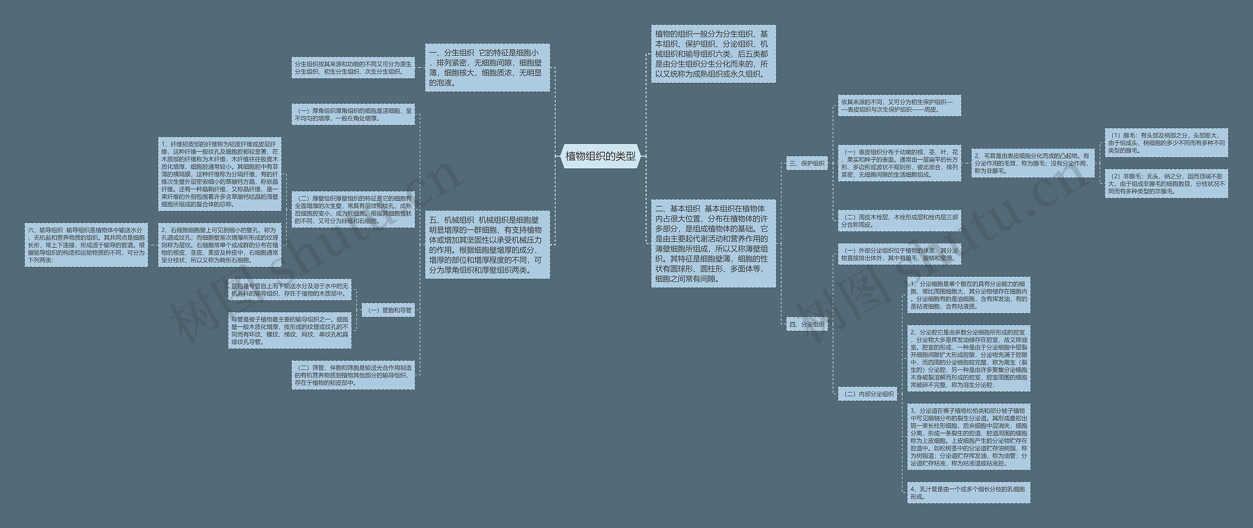 植物组织的类型 植物组织的类型