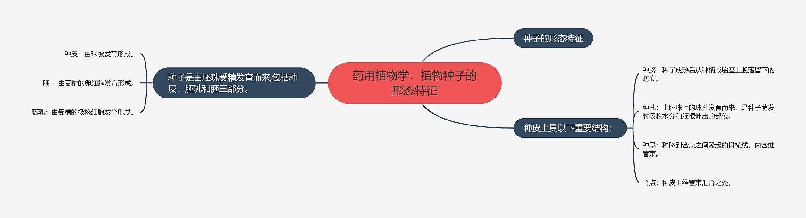 药用植物学：植物种子的形态特征思维导图