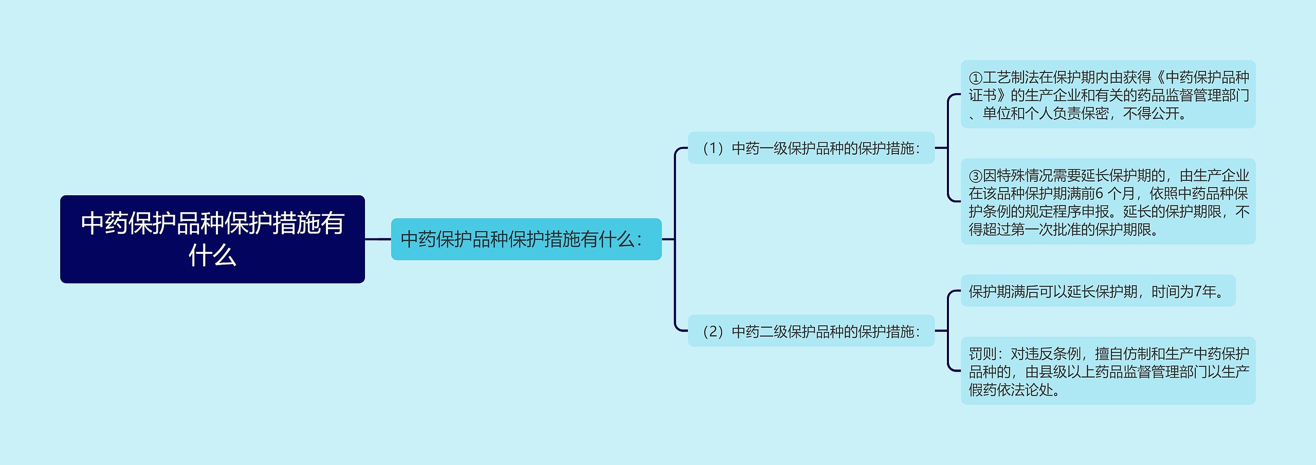 中药保护品种保护措施有什么思维导图