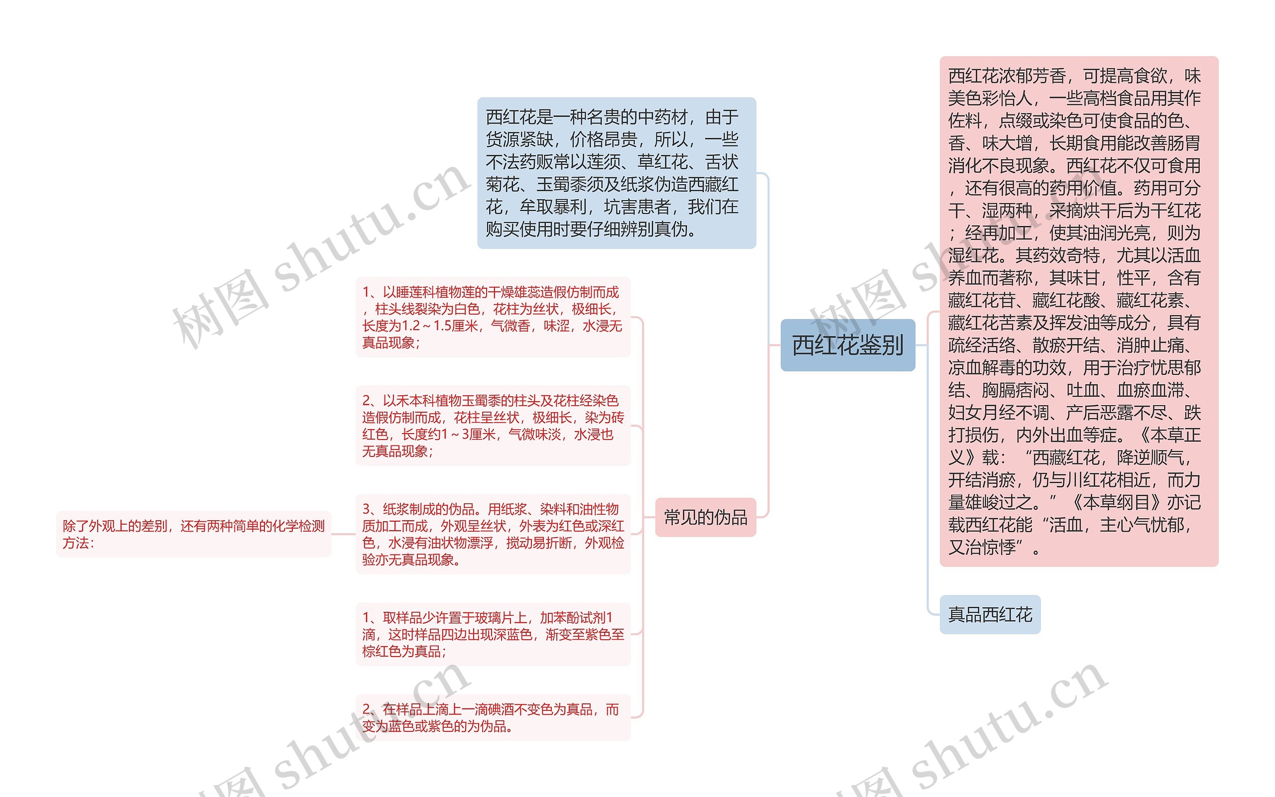 西红花鉴别思维导图