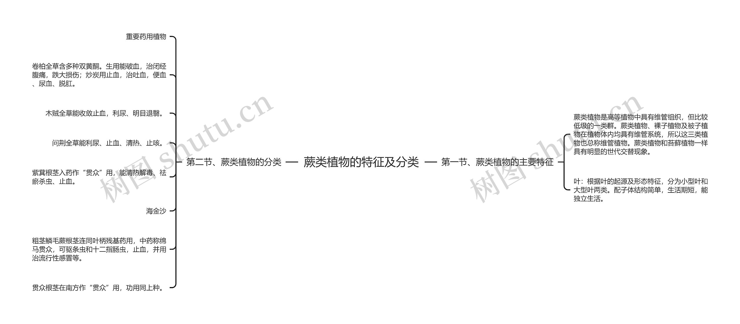 蕨类植物的特征及分类 蕨类植物的特征及分类