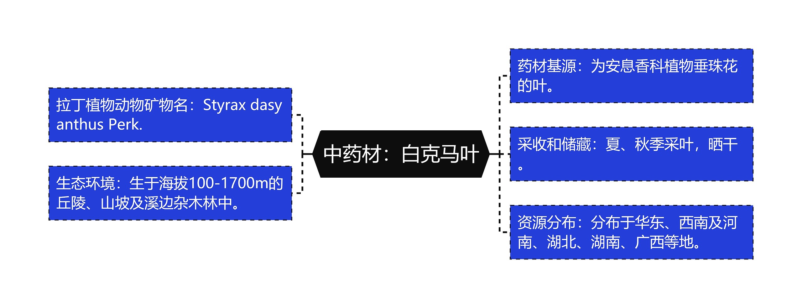 中药材：白克马叶