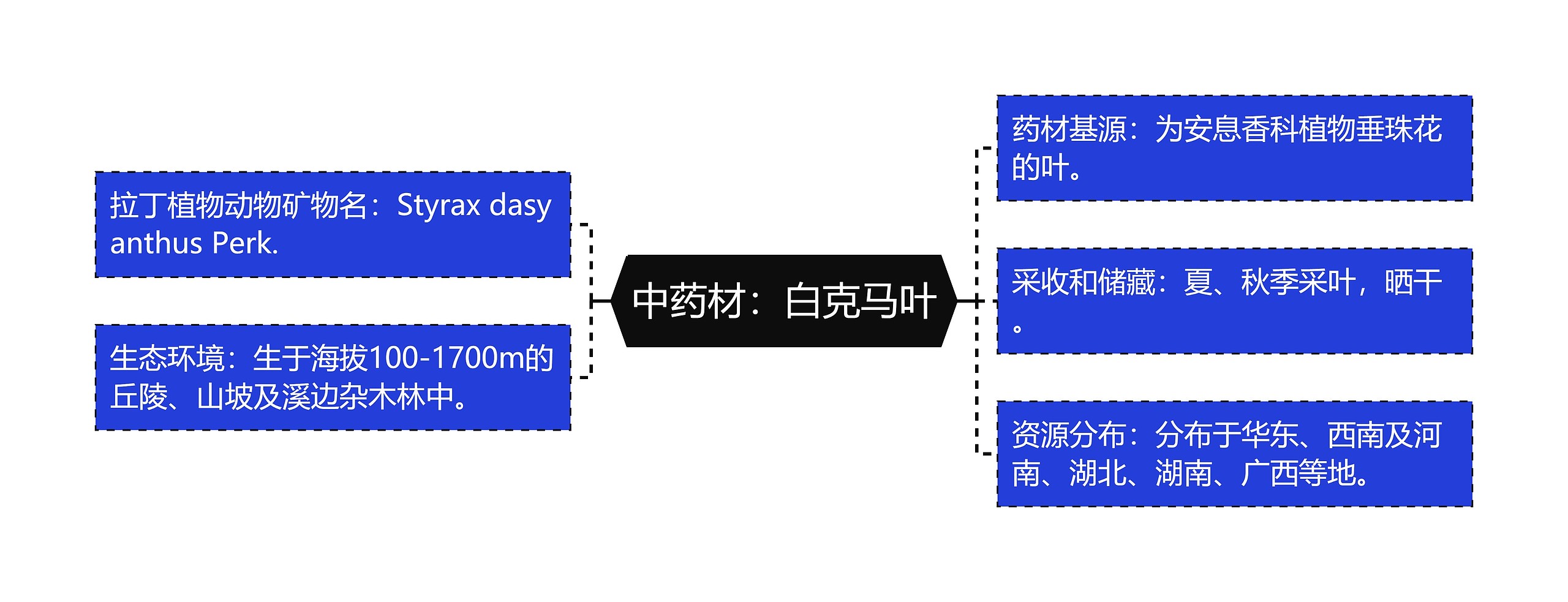 中药材：白克马叶思维导图