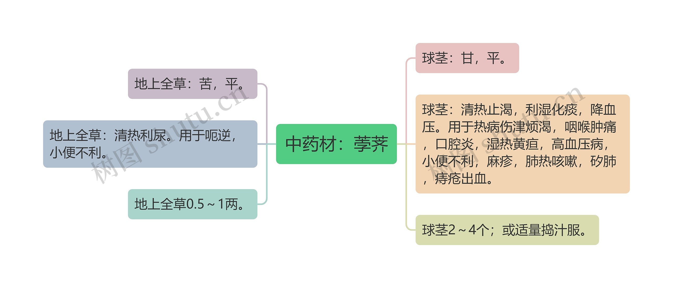 中药材：荸荠思维导图