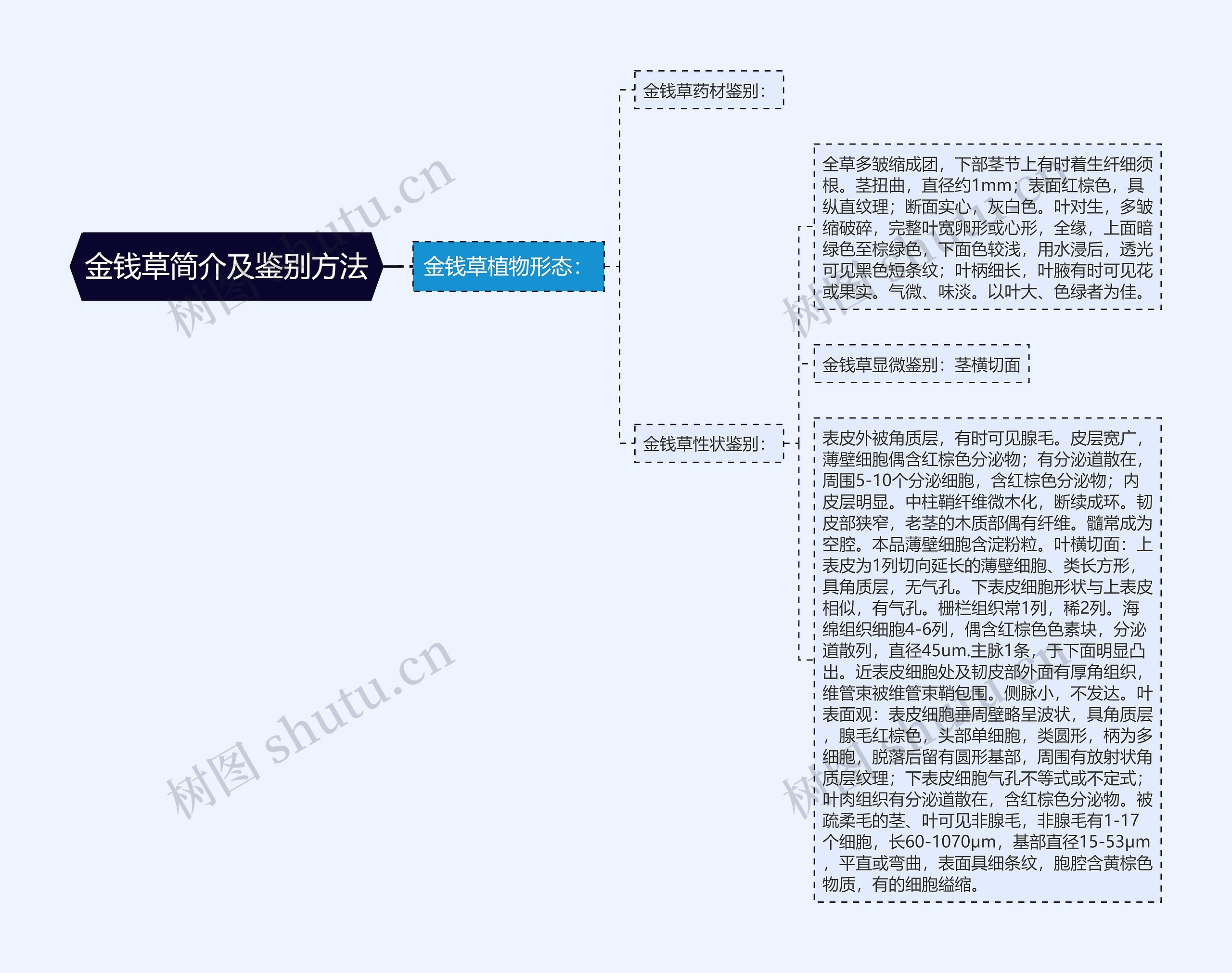 金钱草简介及鉴别方法思维导图