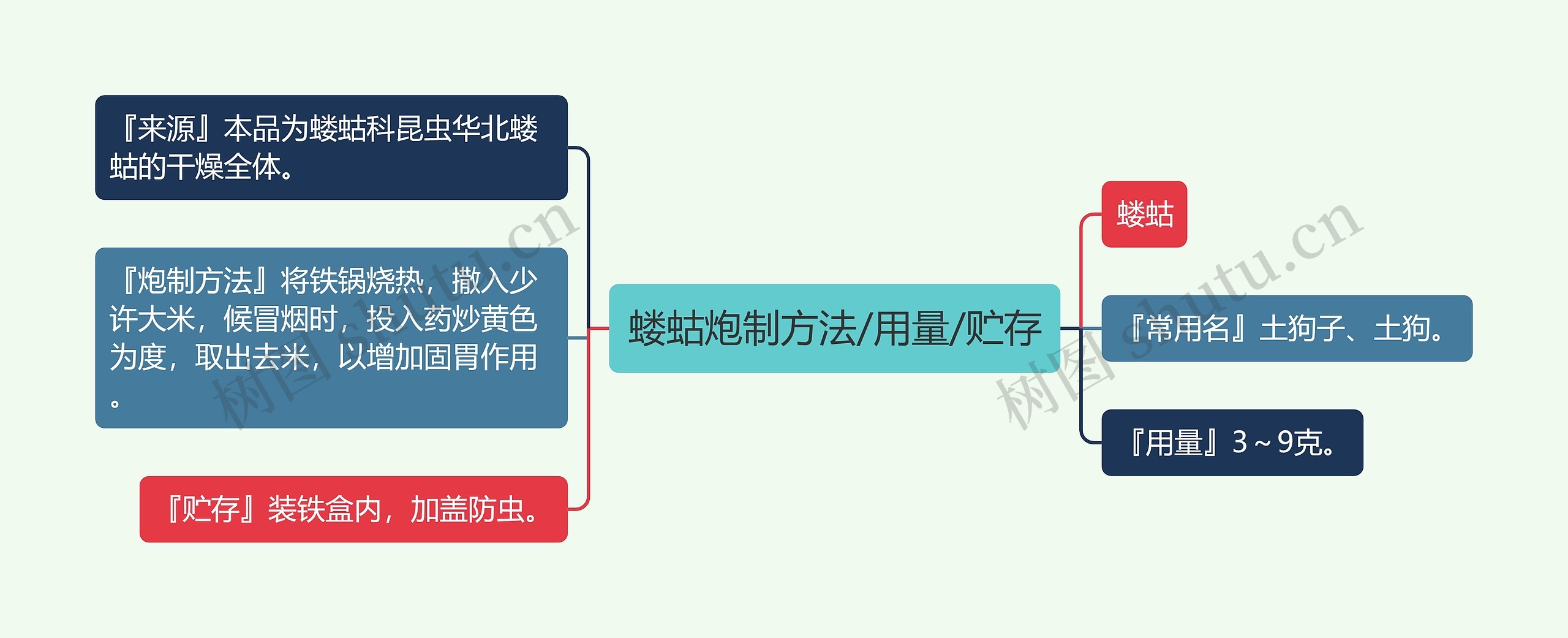 蝼蛄炮制方法/用量/贮存思维导图