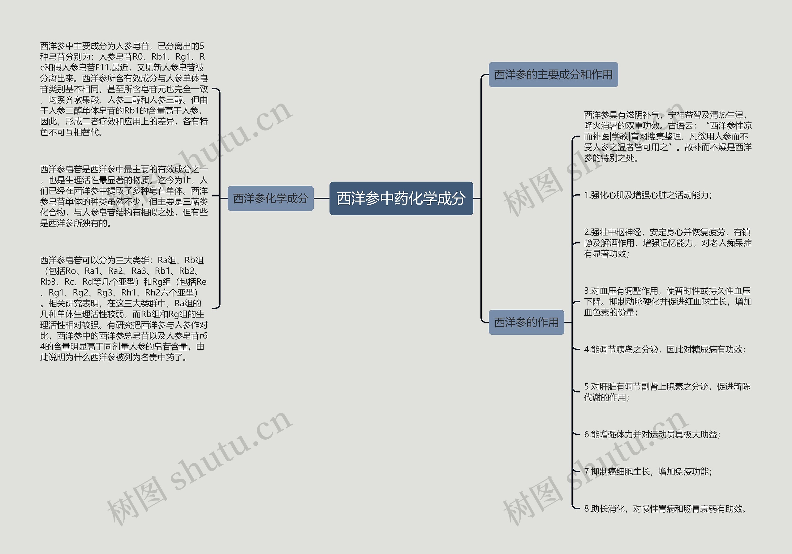 西洋参中药化学成分思维导图