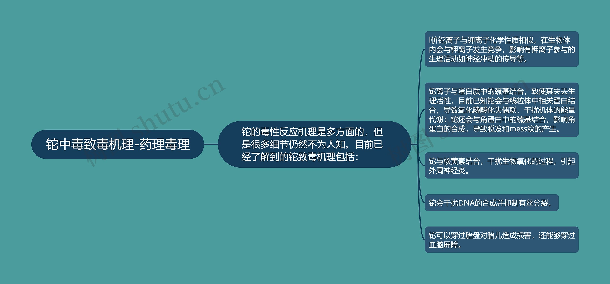 铊中毒致毒机理-药理毒理思维导图