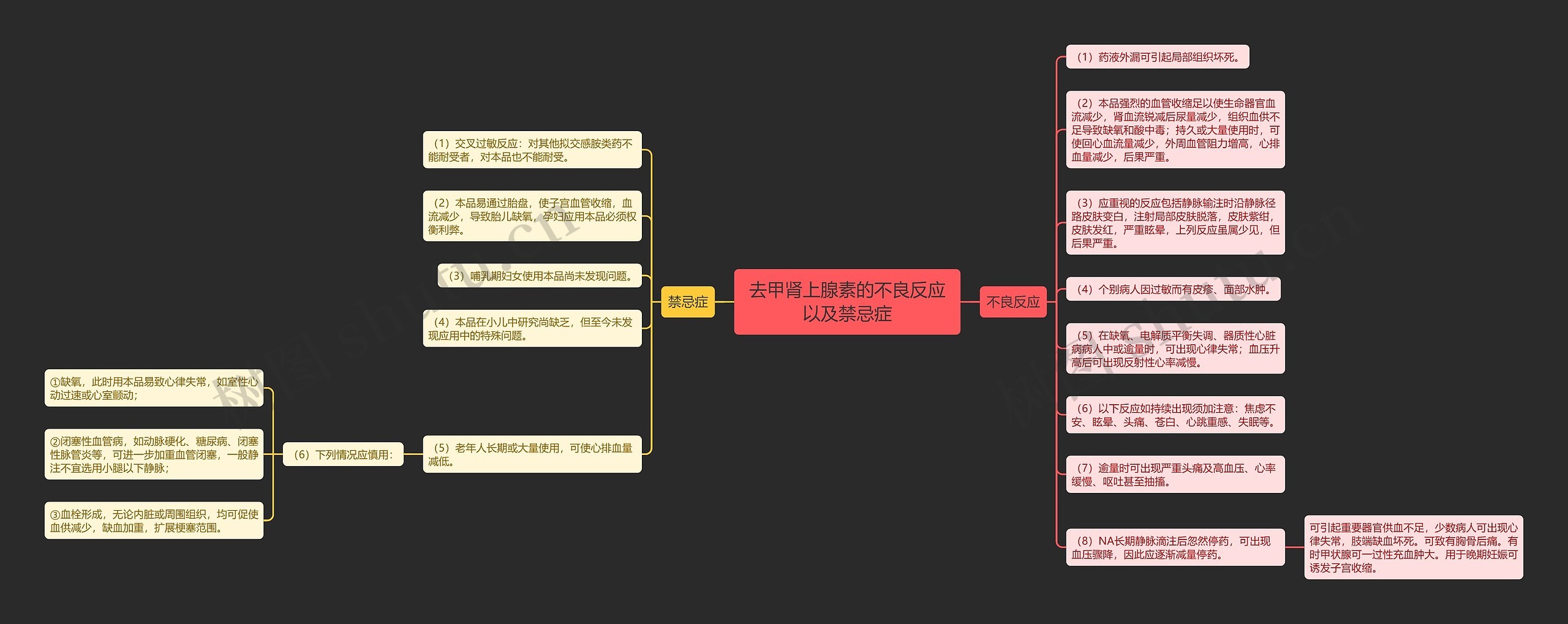 去甲肾上腺素的不良反应以及禁忌症思维导图