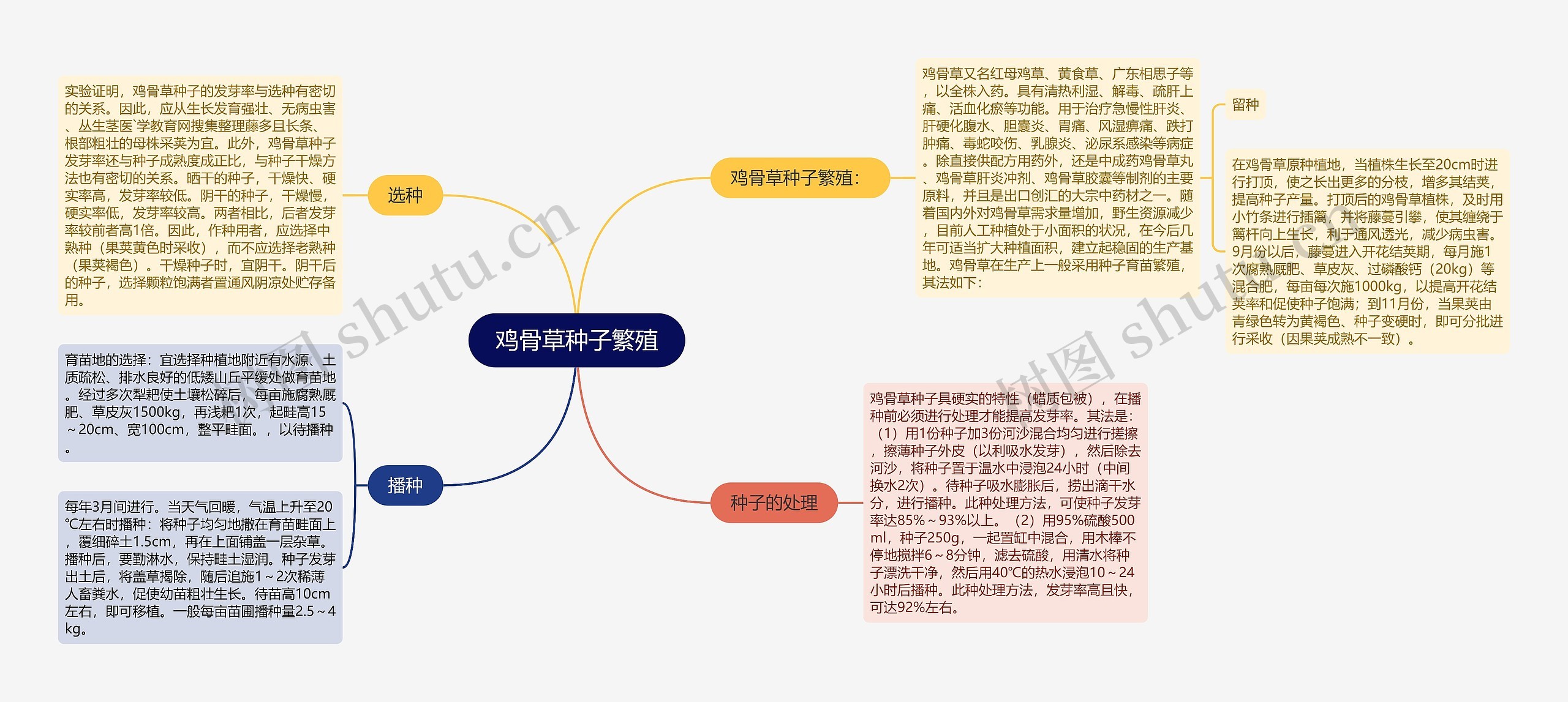 鸡骨草种子繁殖