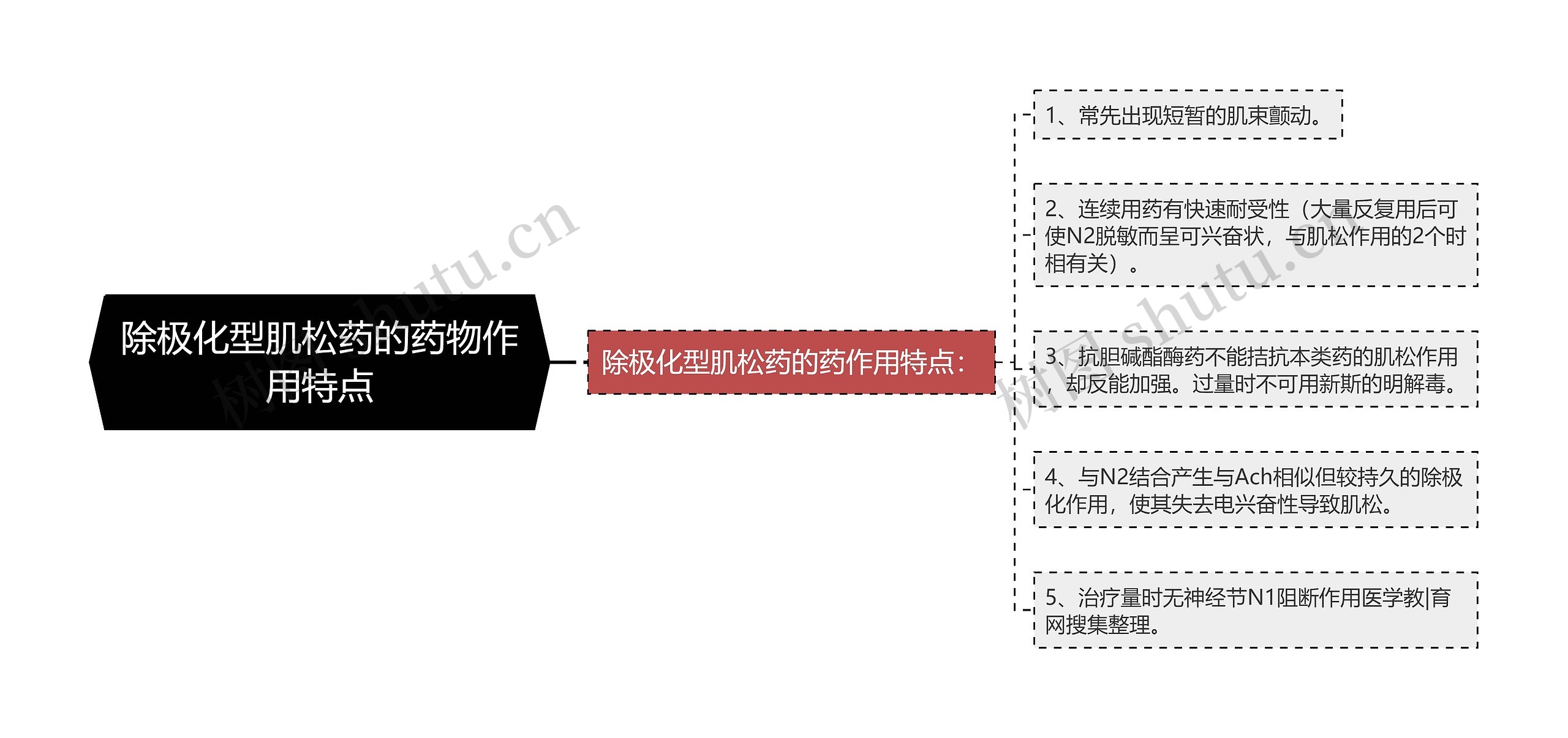 除极化型肌松药的药物作用特点思维导图